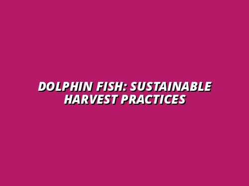 Sustainable Dolphin Fish Harvesting: AFMA Regulations and Best Practices for Anglers